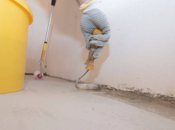 Best Pest Control for Hotels  in Mineville, NY